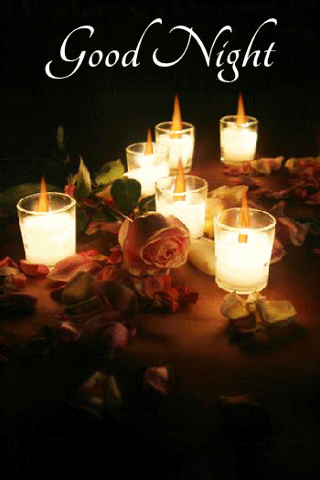 Several warm white candles lit with scattered rose petals and a blooming pink rose
